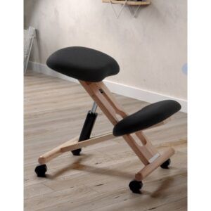 Silla Ergonómica