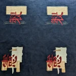 Feng Negro